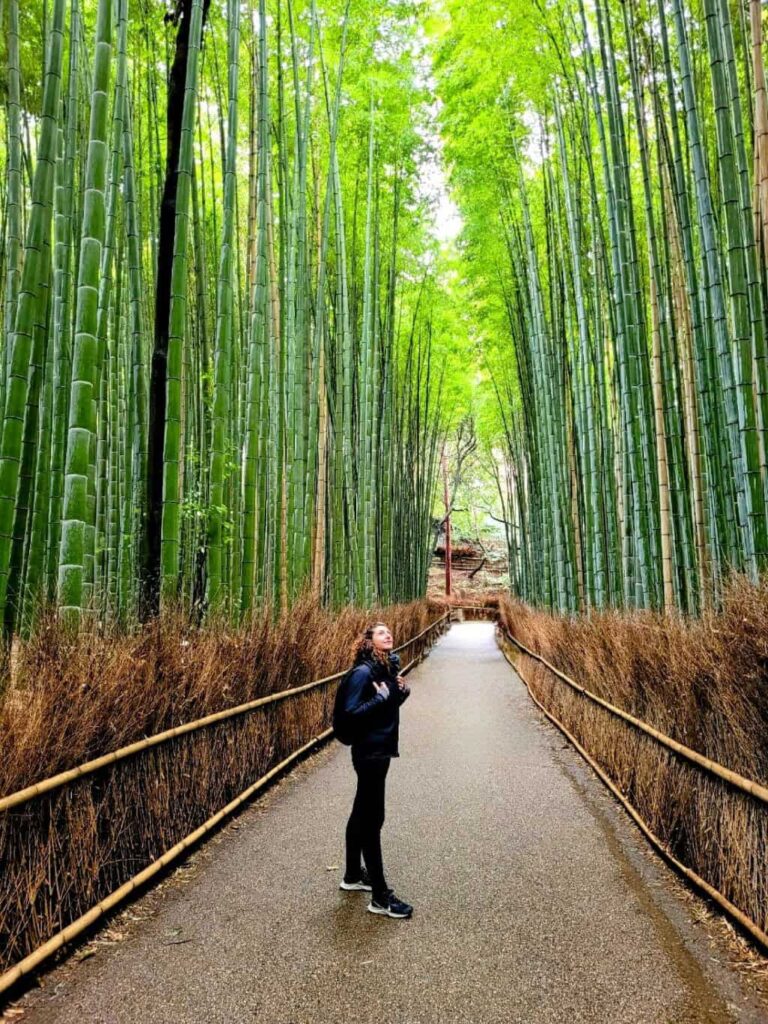Arashiyama – Pemandangan alam semula jadi indah di Kyoto dalam percutian Muslim Tripfez