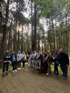 Alishan National Forest – Hutan semula jadi dengan udara segar dalam pakej Tripfez ke Taiwan