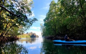 Read more about the article PAKEJ PENGALAMAN UNIK PULAU LANGKAWI 3H2M – MATTA FAIR