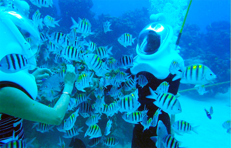 You are currently viewing PAKEJ WATER ADVENTURE (SCUBA) – MATTA FAIR