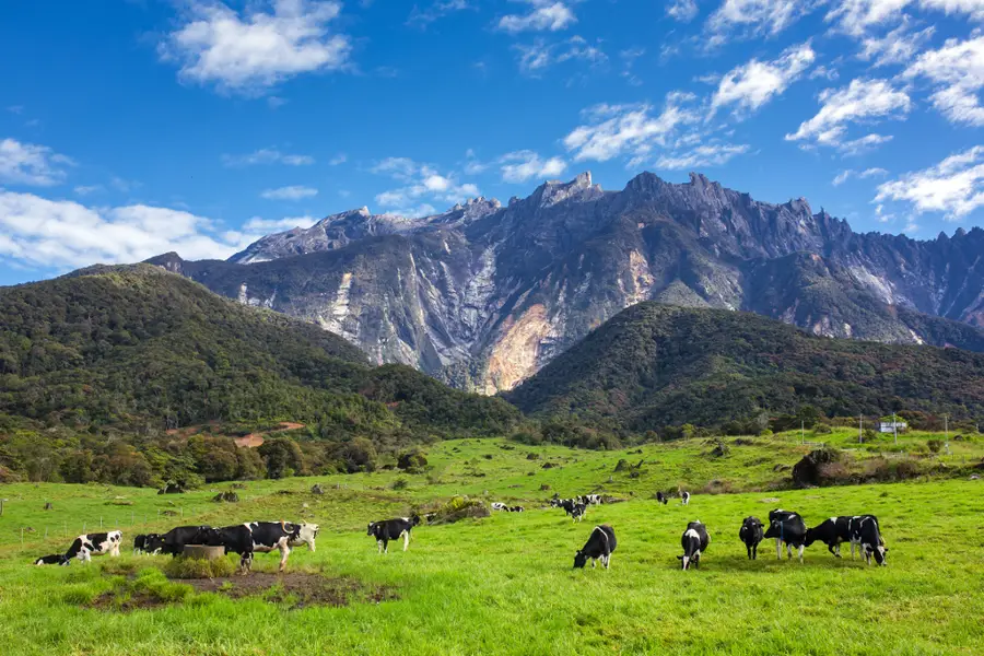 You are currently viewing PAKEJ LUXURY KUNDASANG  – MATTA FAIR