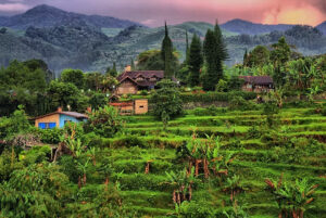 Read more about the article PAKEJ BOGOR – JAKARTA 4H3M – MATTA FAIR
