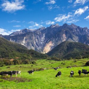 PAKEJ KOTA KINABALU KUNDASANG 4H3M – MATTA FAIR 2025