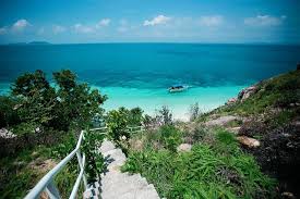 Harimau Island Pulau Besar Tour Matta Fair 2025 Tripfez