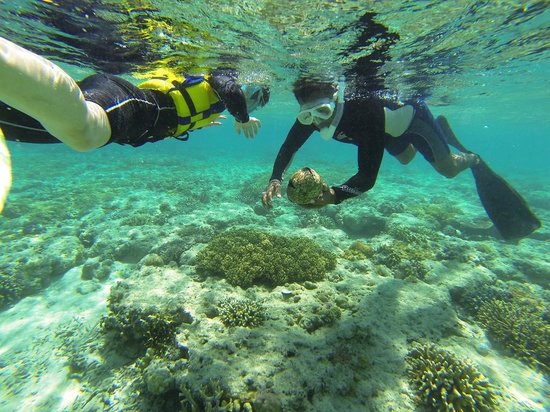 Snorkelling Trip Perhentian Tour Matta Fair 2025 Tripfez